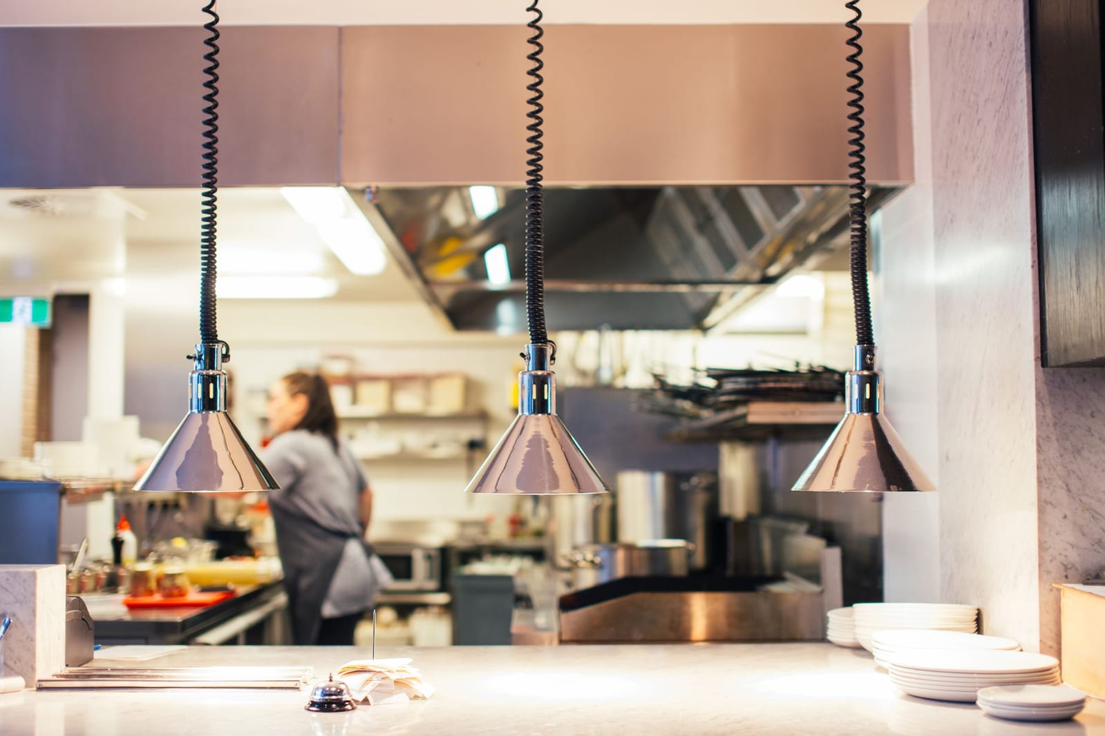 Control de Plagas para Restaurantes